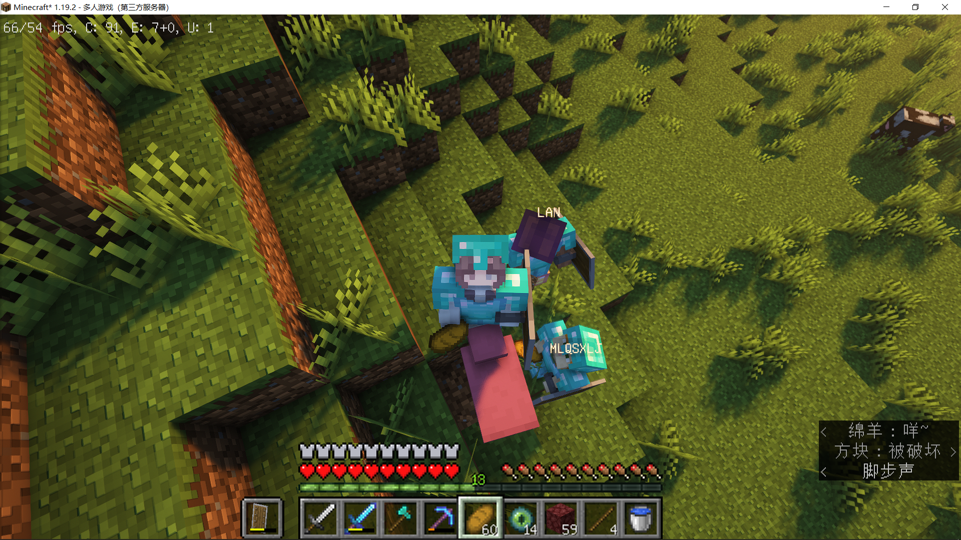 服务器第一只自然粉羊